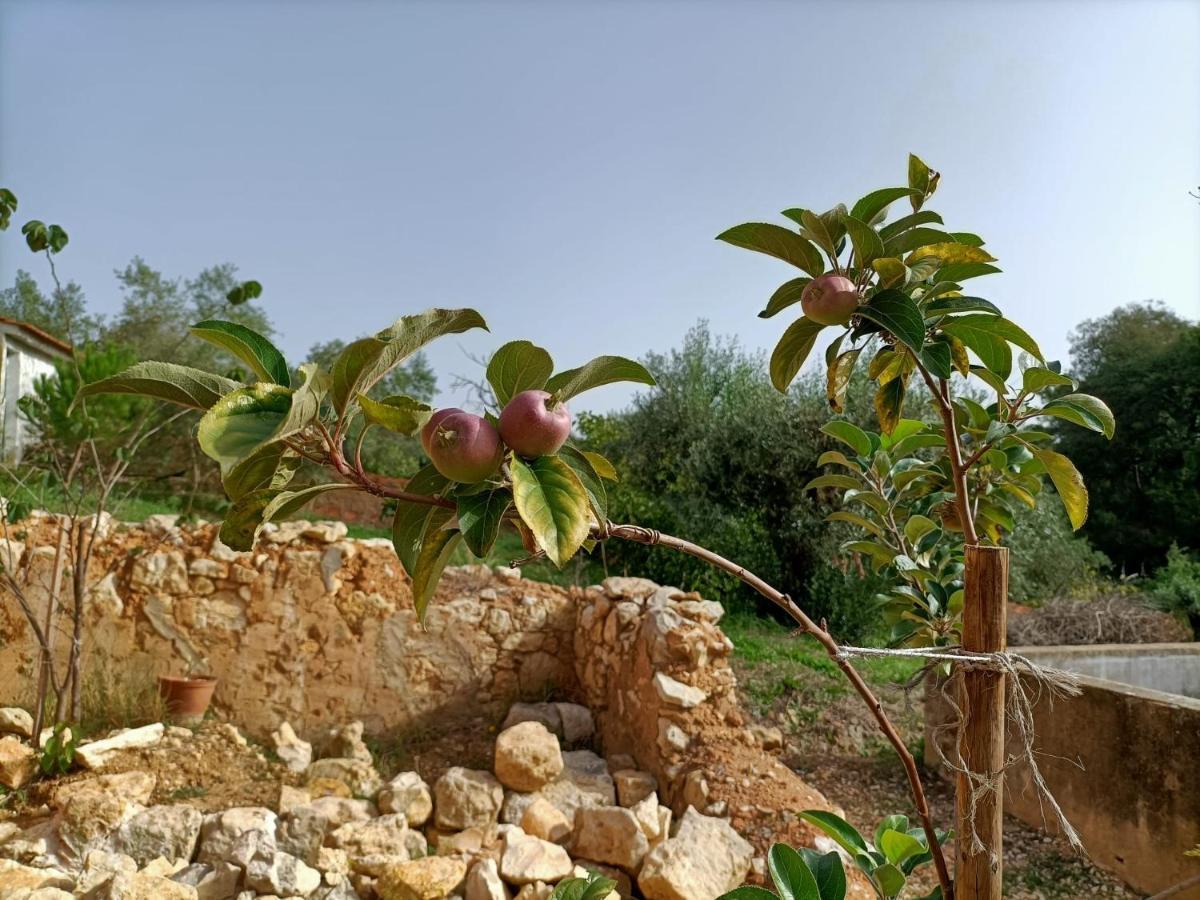 טומאר Casalinho In Portugal Country House מראה חיצוני תמונה