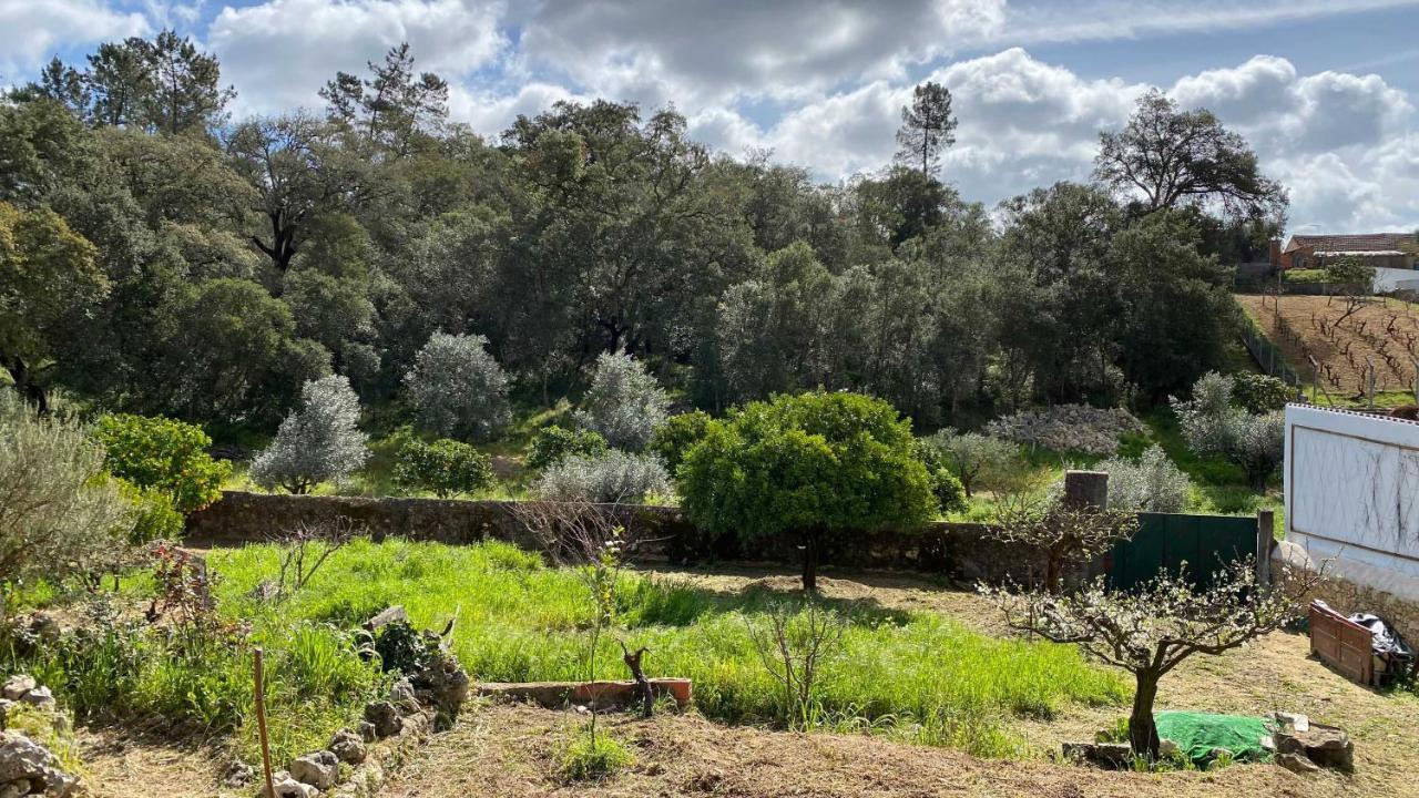 טומאר Casalinho In Portugal Country House מראה חיצוני תמונה